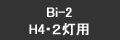 Bi-2 H4ʬ
