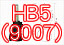 HID Bulb HB5(9007)